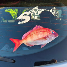 Load image into Gallery viewer, Real snapper fish decal and shark skeleton decal on a car window