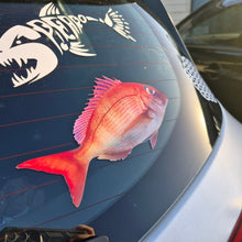 Load image into Gallery viewer, Fish-shaped snapper decal on a car window with a shark decal above it.