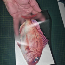 Load image into Gallery viewer, Hand holding a red fish over a printed image of a fish on a cutting mat.