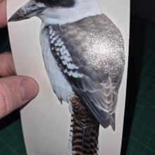 Load image into Gallery viewer, Close-up of a Kookaburra Sticker bird illustration on paper held by a hand with a green cutting mat background.