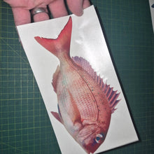 Load image into Gallery viewer, Pink snapper Fish decal held over a cutting mat