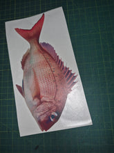Load image into Gallery viewer, Fish decal on a white card with a green cutting mat background