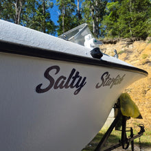 Load image into Gallery viewer, White boat with custom made decal of 'Salty Starfish' branding on a grassy area with trees in the background, Australian made