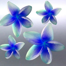 Load image into Gallery viewer, Frangipani decals on the side of a vehicle