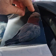 Load image into Gallery viewer, Hand holding a piece of paper with a Galah decal illustration on it.