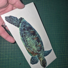 Load image into Gallery viewer, Hand holding a decal of a green sea turtle on a white card with a grid-patterned surface in the background.