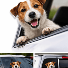 Load image into Gallery viewer, Dog sticking its head out of a car window with additional images of the dog on car windows.
