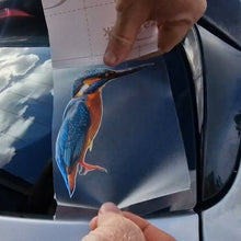 Load image into Gallery viewer, Hand holding a card with a kingfisher Sticker in front of a car window.