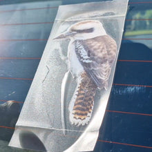 Load image into Gallery viewer, Kookaburra Bird decal on a car window