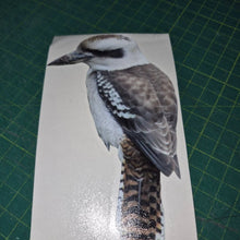 Load image into Gallery viewer, Kookaburra decal Bird feather on a white card with a green cutting mat background