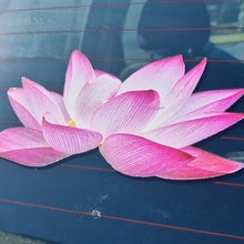 Load image into Gallery viewer, Sticker of Pink artificial lotus flowers on a car window