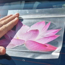 Load image into Gallery viewer, Hand holding a clear plastic sheet with a pink flower design against a blue car surface.