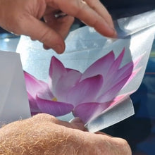Load image into Gallery viewer, Person peeling back a car window film with a pink flower design.