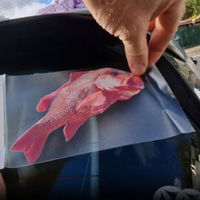 Load image into Gallery viewer, Person applying a red mangrove jack fish decal to a car window