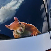 Load image into Gallery viewer, Squirrel-shaped car decal on a vehicle's window