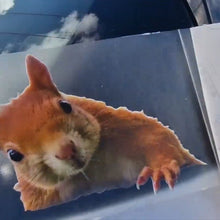 Load image into Gallery viewer, Hamster on a car window with a snowy background