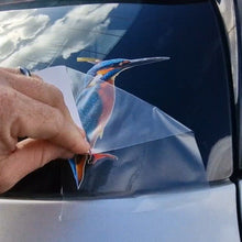 Load image into Gallery viewer, Person applying a sticker of a colorful bird on a vehicle window. Peeling away application tape for kingfisher bird