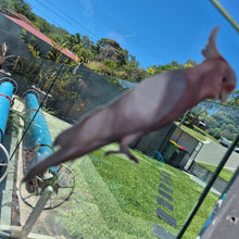 Load image into Gallery viewer, Bird perched on a metal structure with a garden and house in the background