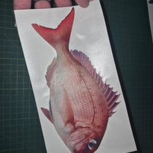 Load image into Gallery viewer, Fish decal held by a hand on a cutting mat Pink snapper