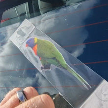 Load image into Gallery viewer, Colorful rainbow lorikeet parrot decal on a car window