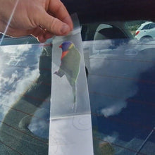 Load image into Gallery viewer, Hand holding a sticker with a bird rainbow lorikeet illustration against a car window