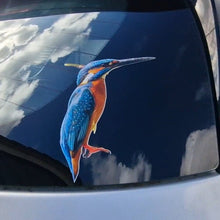 Load image into Gallery viewer, Real image of kingfisher bird Sticker Colorful bird decal on a car window with a blue sky reflection.
