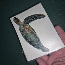 Load image into Gallery viewer, Hand holding a card with a turtle illustration on a dark grid background