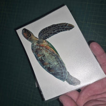 Load image into Gallery viewer, Hand holding a card with a turtle illustration on a dark grid background