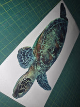 Load image into Gallery viewer, Colorful turtle illustration on a white card with grid background