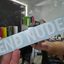 Load image into Gallery viewer, Person holding a vinyl decal with 'SEND NUDES' text in an indoor setting.