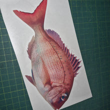 Load image into Gallery viewer, Snapper decal Fish illustration on a white card with a green cutting mat background