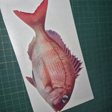 Load image into Gallery viewer, Snapper decal Fish illustration on a white card with a green cutting mat background