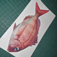 Load image into Gallery viewer, Fish on a piece of paper with a grid background