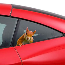 Load image into Gallery viewer, Squirrel peeking Side View Car window, extremely cute