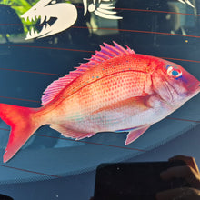 Load image into Gallery viewer, Real snapper fish decal on a car window with a shark sticker in the background