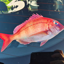 Load image into Gallery viewer, Real snapper fish decal on a car window with a shark sticker in the background
