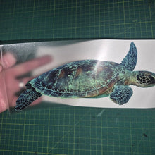 Load image into Gallery viewer, Hand holding a paper with a turtle illustration on a grid surface