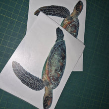 Load image into Gallery viewer, Two turtle decals on white paper with a grid background