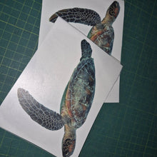 Load image into Gallery viewer, Two turtle decals on white paper with a grid background