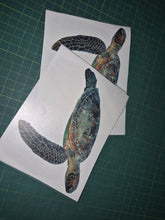 Load image into Gallery viewer, Two turtle decals on white paper with a grid background