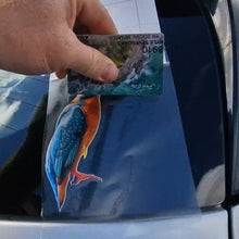 Load image into Gallery viewer, Hand holding a card with a colorful bird kingfisher Sticker above a car window.
