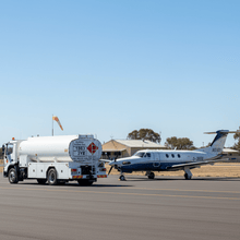 Load image into Gallery viewer, Bowser beside private jet