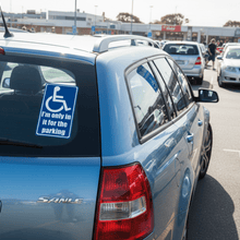 Load image into Gallery viewer, Car Rear Window