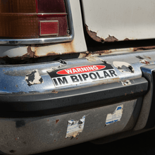 Load image into Gallery viewer, Close-up on weathered bumper bipolar sticker