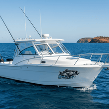Load image into Gallery viewer, Cuddy Cabin Bow Side with a barramundi sticker