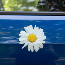 Load image into Gallery viewer, Daisy Sticker on Car