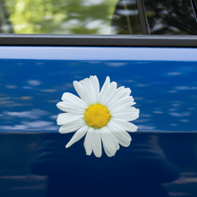 Load image into Gallery viewer, Daisy Sticker on Car