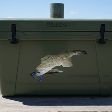 Load image into Gallery viewer, Esky Jetty flathead decal lure