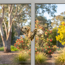 Load image into Gallery viewer, Flying Owl on Conservatory