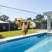 Load image into Gallery viewer, Flying Owl on Pool Fence